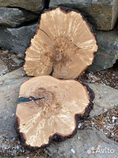 Спилы дерева