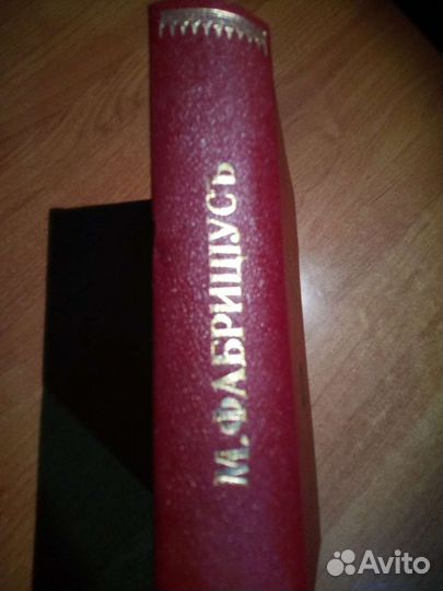 Кремль в Москве. Фабрициус