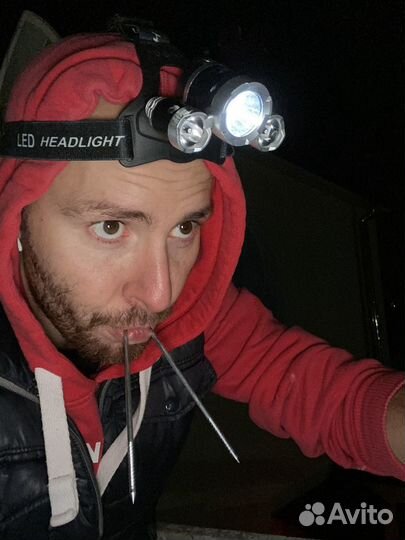 Системный администратор и 1С программист