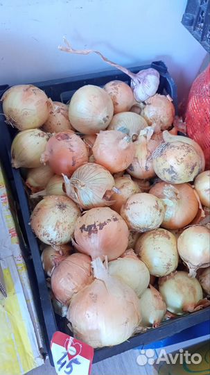 Продам готовую фирму ооо