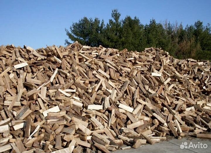 Дрова осина ольха