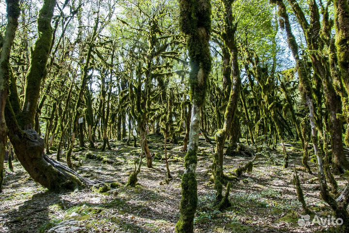Экскурсия джип тур волчья пасть