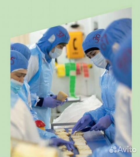 Сборщики бутербродов