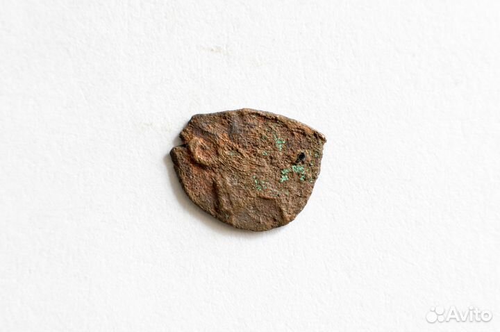 Медная чешуйка