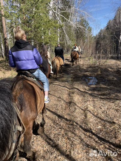 Конный тур в сказочный лес