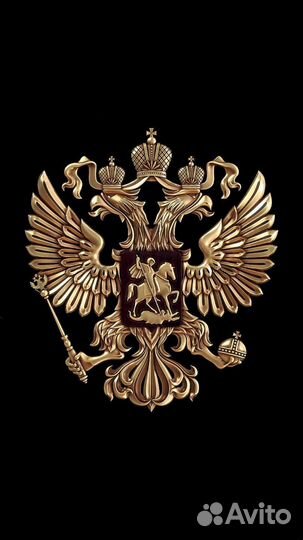 Услуги юриста