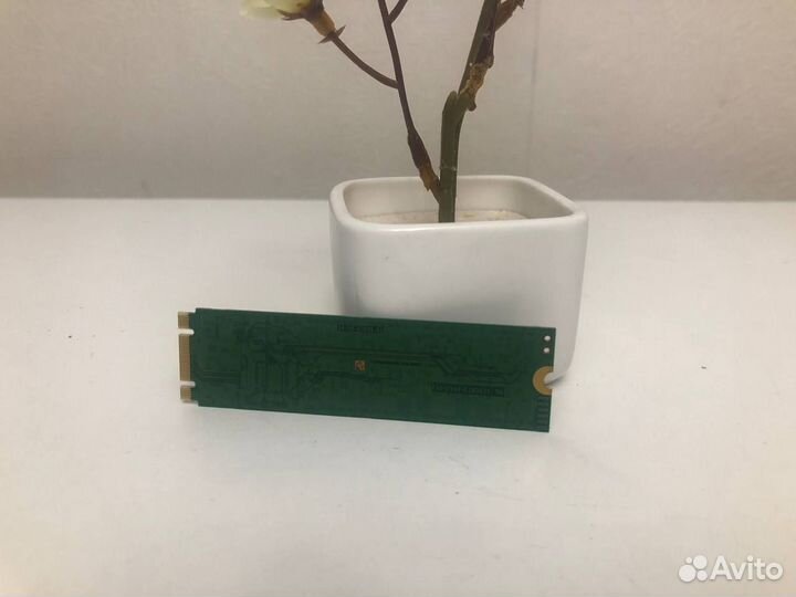 240 гб SSD M.2 WD Green Покупка / Продажа