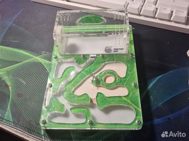 Муравьиная ферма