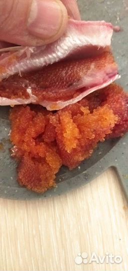 Рыба тугунок (тугун)