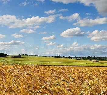 Участок 5 га (СНТ, ДНП)