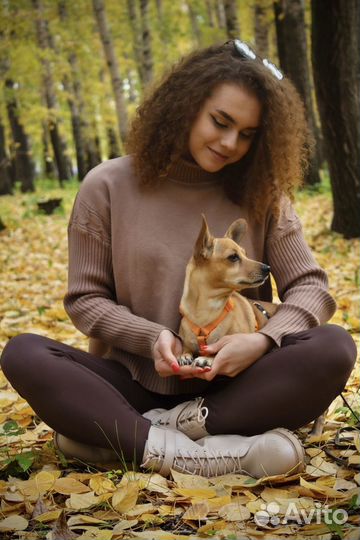 Зоопсихолог, кинолог