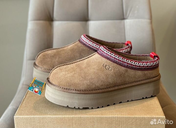 Ugg tazz tasman chestnut