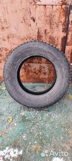 Nokian Tyres Hakkapeliitta 5 SUV 255/65 R17 114T
