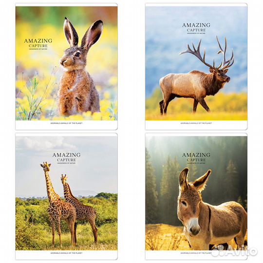 Тетрадь общая, 48 листов, клетка, А5 