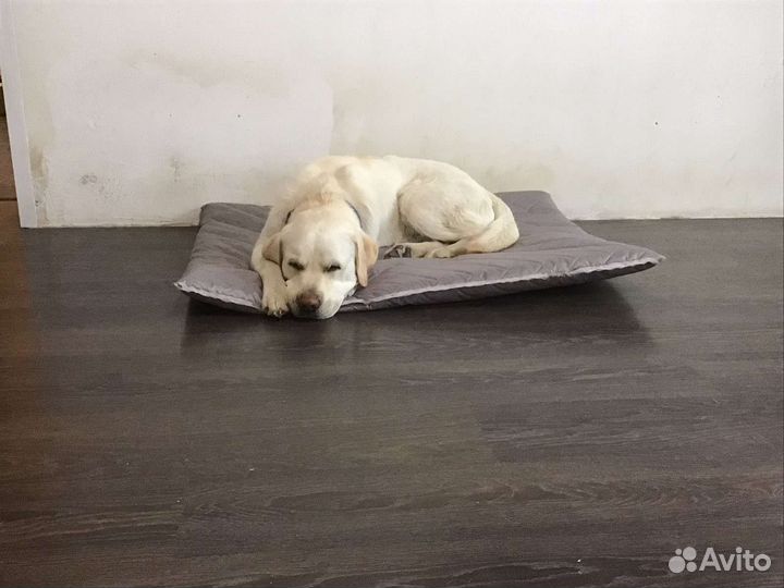 Лежанка для собак и кошек