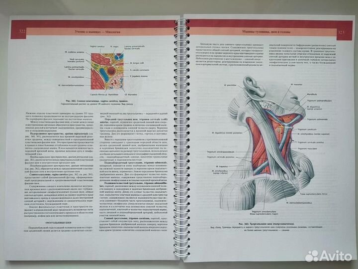 Атлас анатомии человека Синельников (2018-2019)