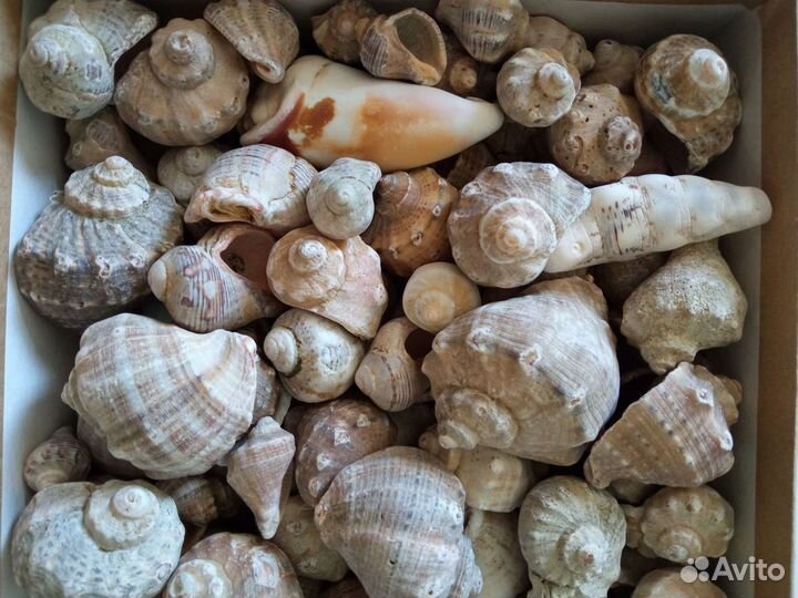 Камни с отверстиями разных размеров и форм