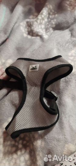 Поводок и шлейка