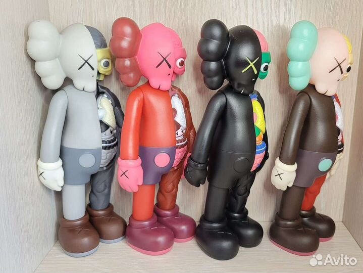 Kaws анатомия