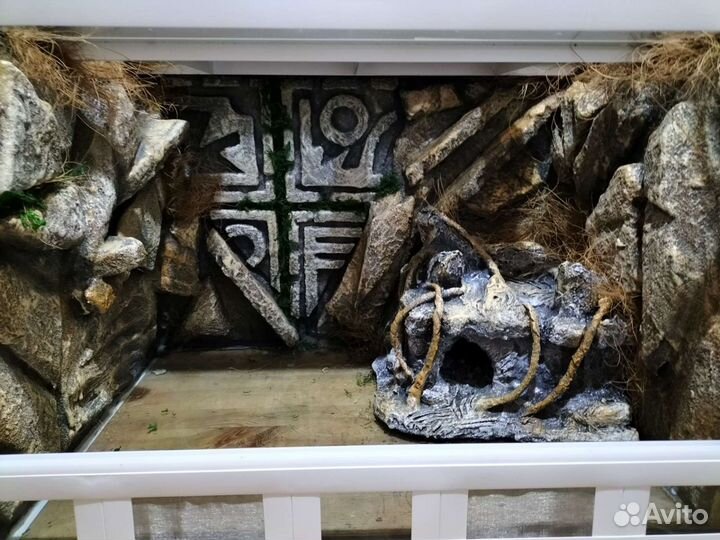 Террариум на заказ