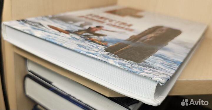 Фаминицын А.С. Божества древних 2017