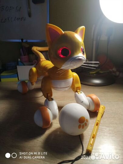 Игрушка кот-робот Zoomer kitty
