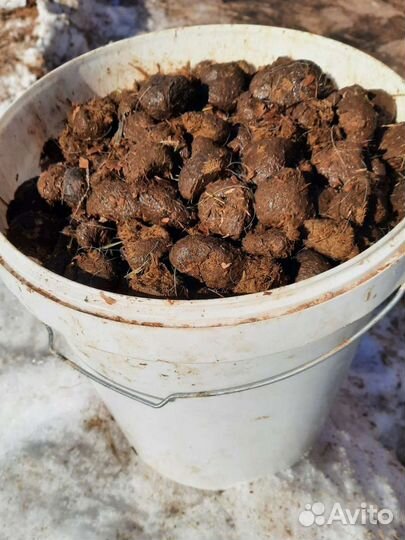 Навоз конский в мешках