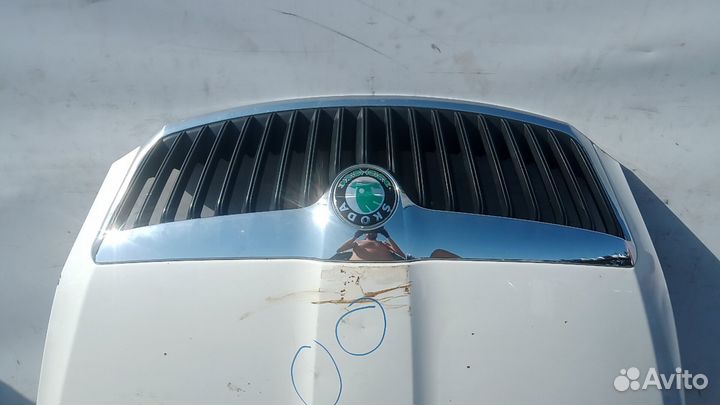 Капот Skoda Octavia
