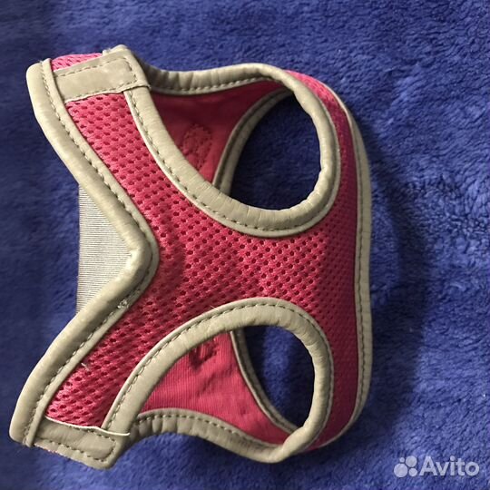 Шлейка для маленькой собаки