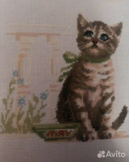 Кот