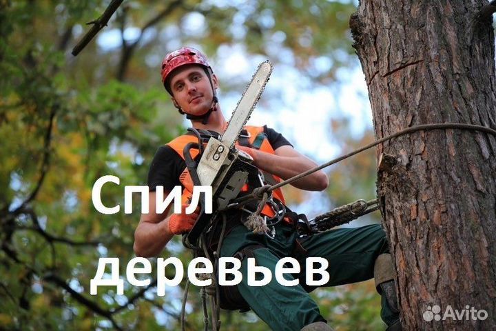 Спил деревьев, уборка участка