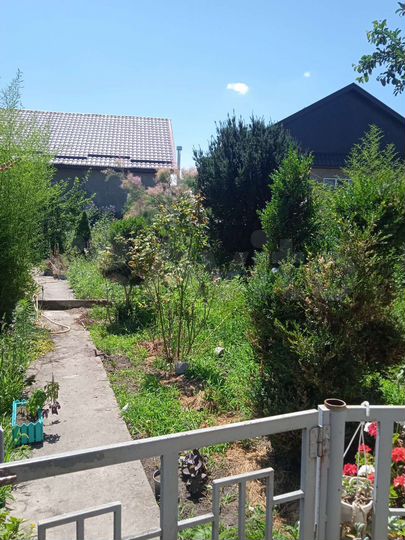 Дом 34 м² на участке 5 сот.