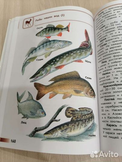 Атлас от земли до неба