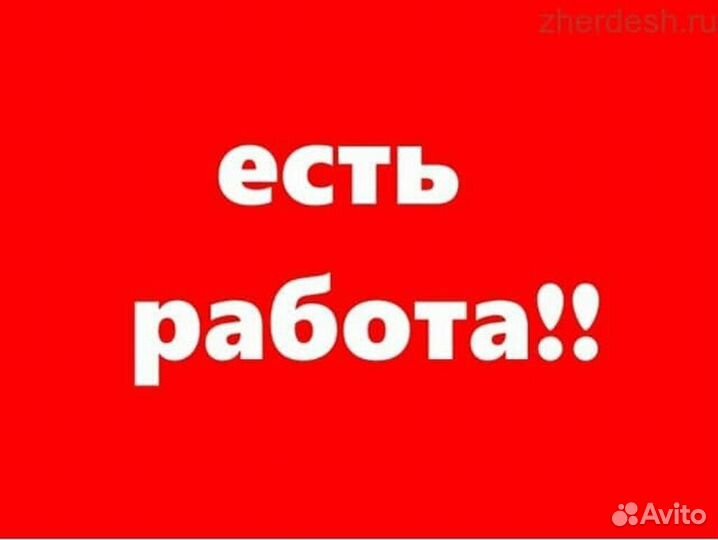 Подработка с ежедневной оплатой в своем районе