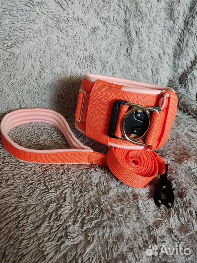 Ошейники и поводки для собак на заказ