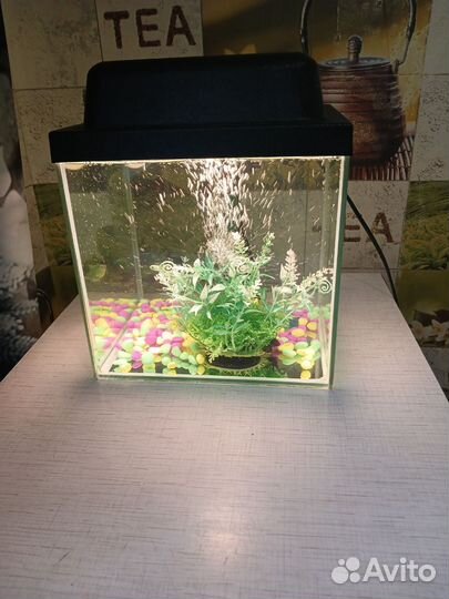 Аквариум 10 литров