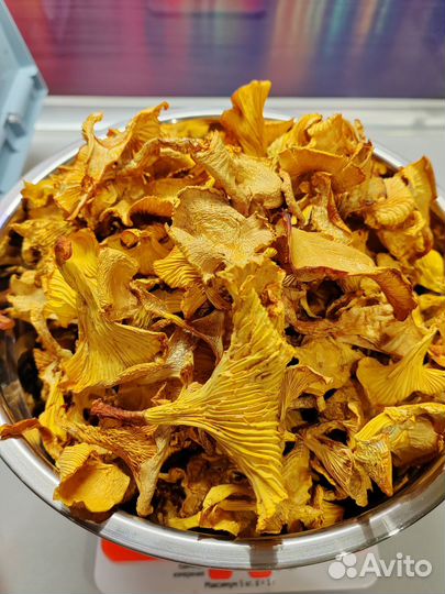 Сушеные грибы лисички 2024