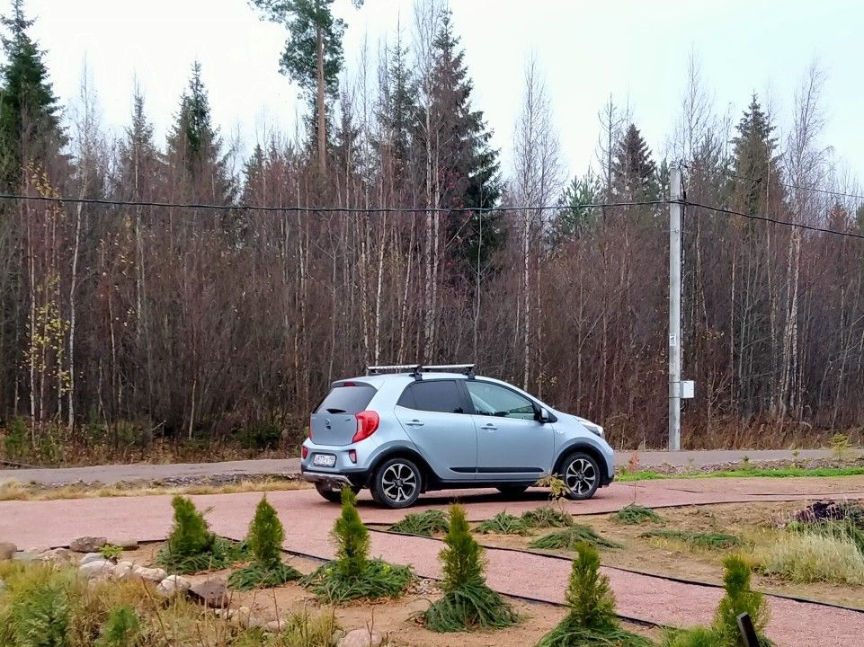 Kia Picanto: фото владельца