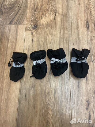 Носки для собак