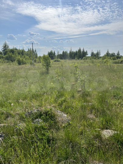 Участок 16,2 сот. (ИЖС)