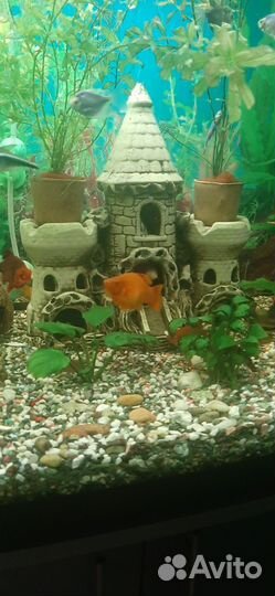 Украшение для аквариума