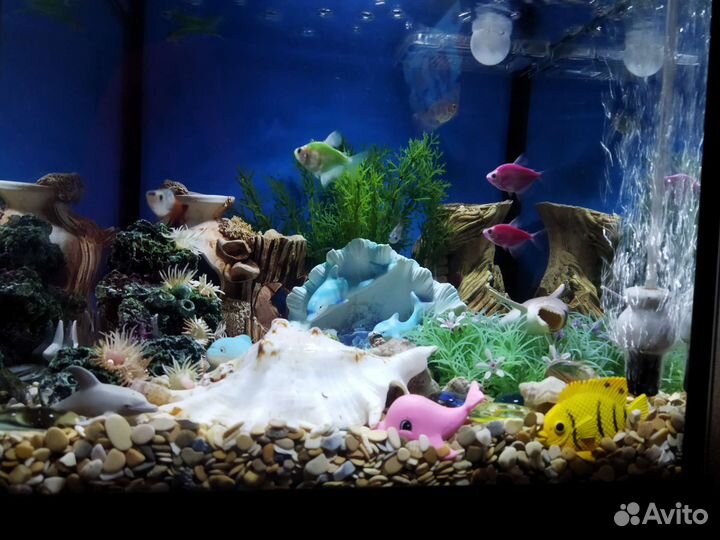 Аквариум с рыбками
