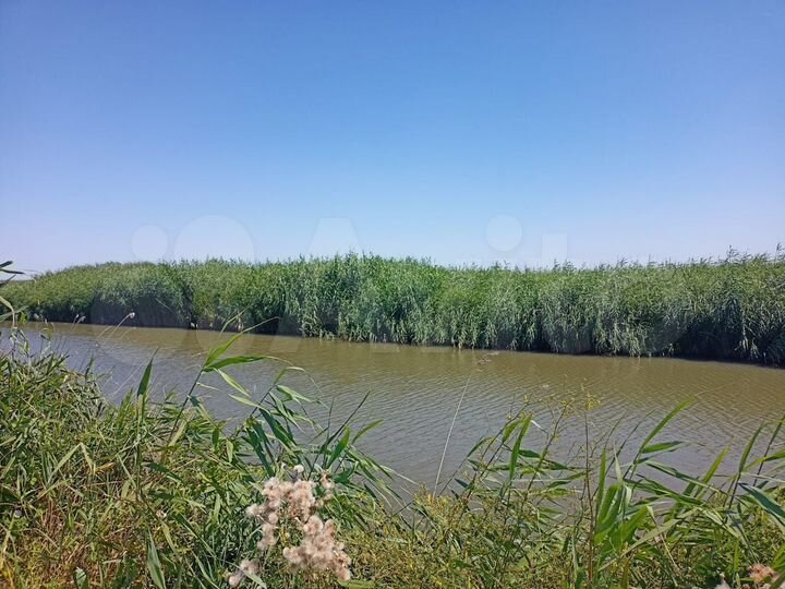 Участок 92,6 га (СНТ, ДНП)