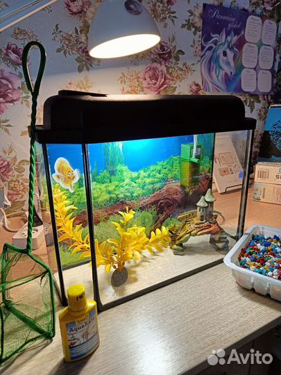 Аквариум