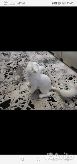 Груминг крупных пород собак и кошек