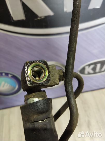 Трубка шланг гидроусилителя Nissan almera N16