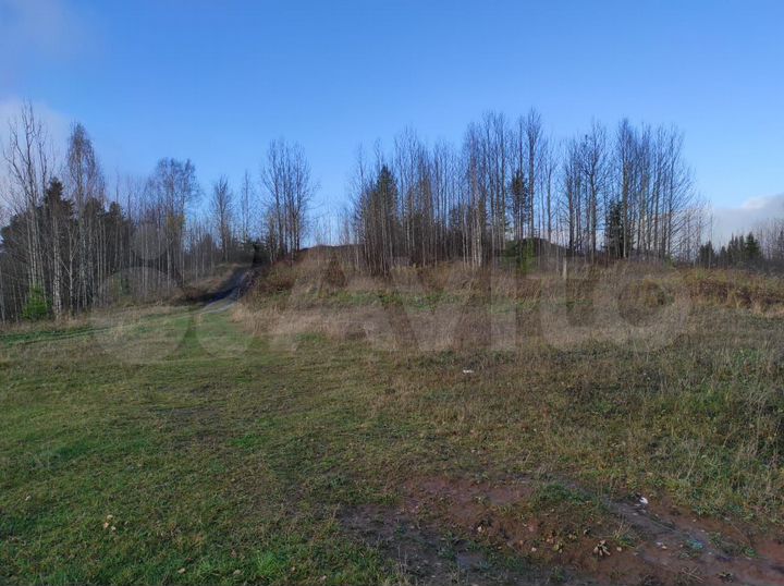 Участок 54 сот. (СНТ, ДНП)