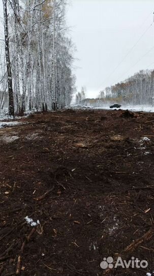 Услуги экскаватора(мульчер)