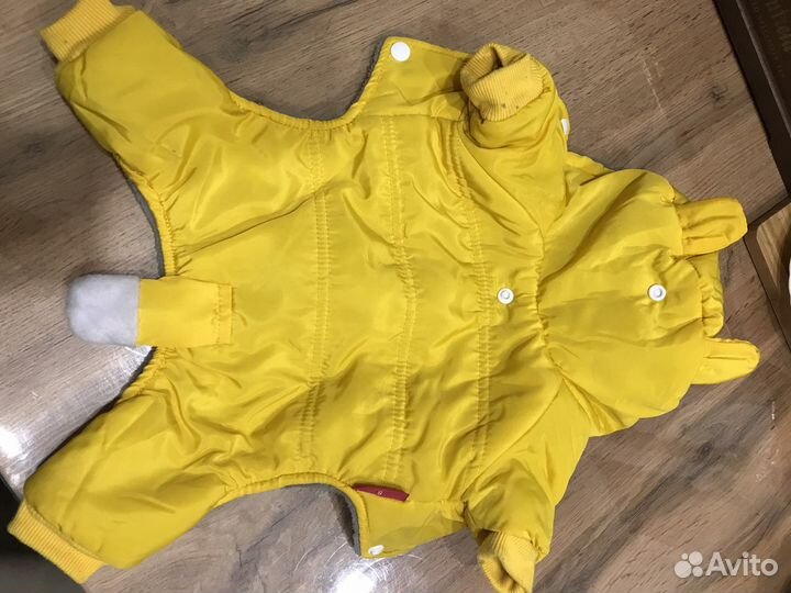 Одежда для собак мелких пород