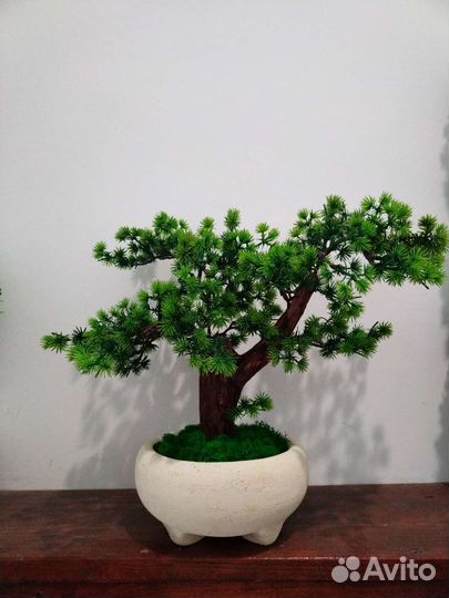 Дерево бонсай (Прототип)